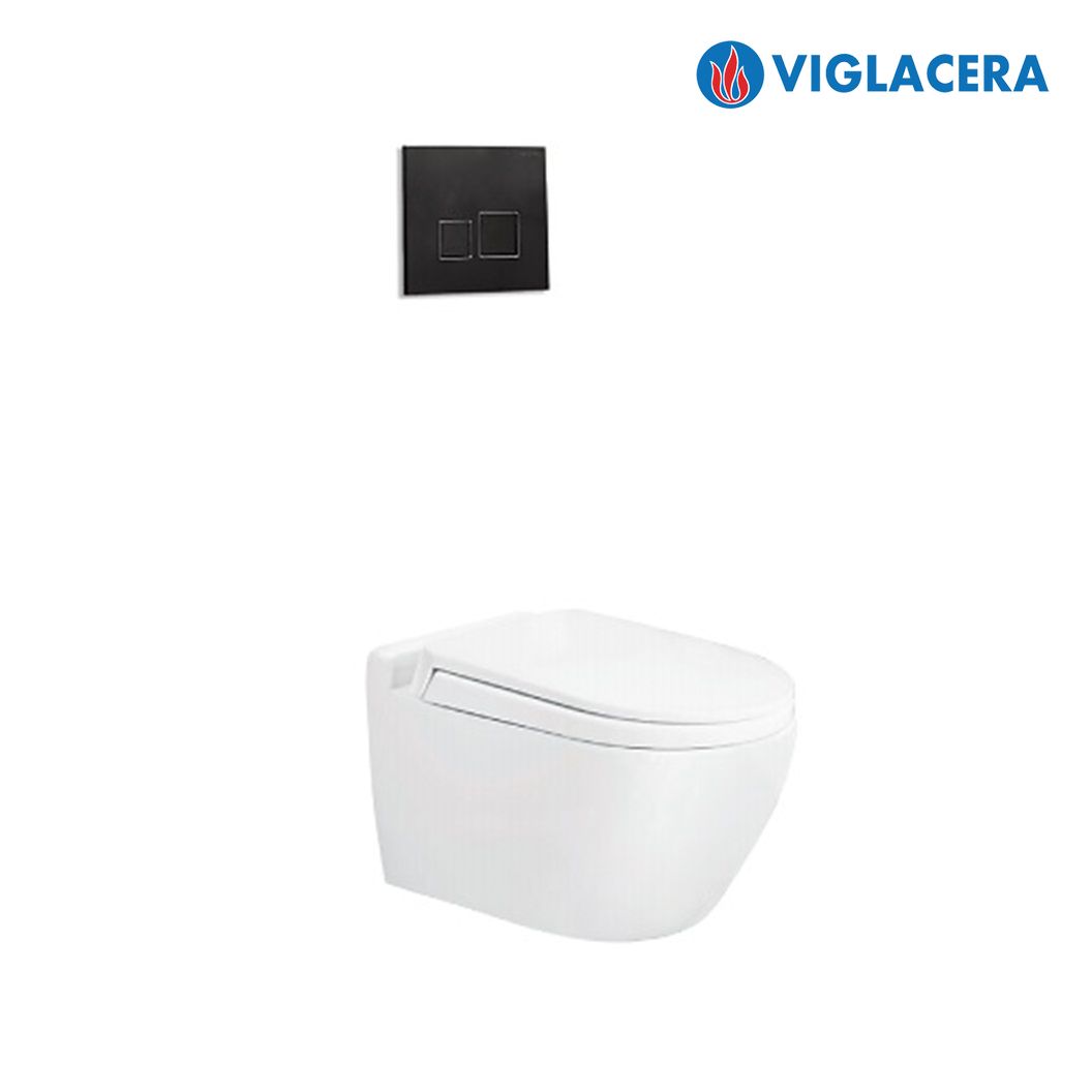 Bồn cầu sứ VIGLACERA V51K